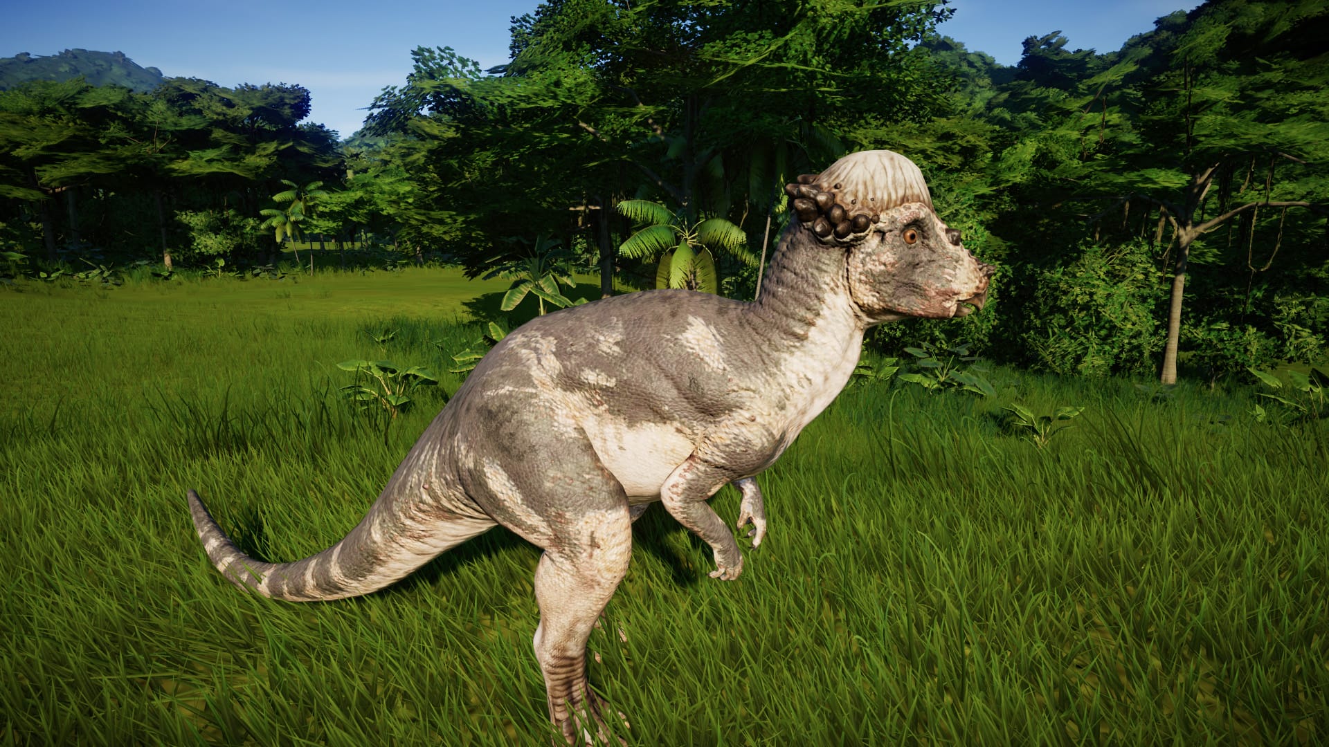 Пахицефалозавр в Jurassic World Evolution 2