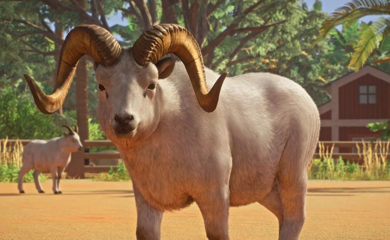 Баран Далла в открытом вольере Planet Zoo