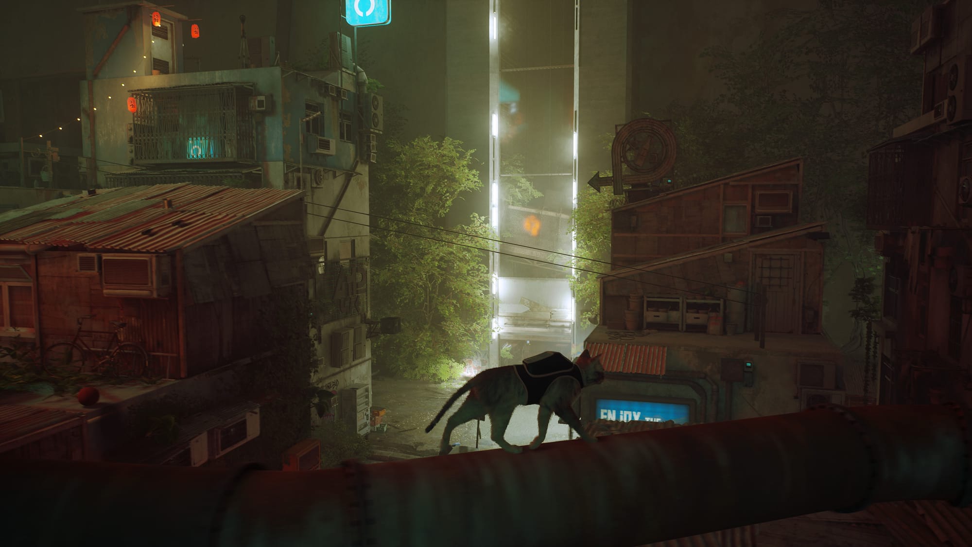 главный герой идет по трубе Stray
