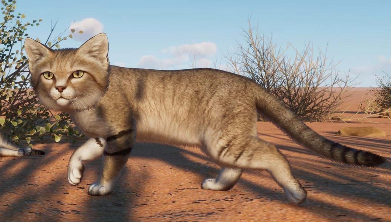 Бархатный кот идет по песчаной пустыне Planet Zoo