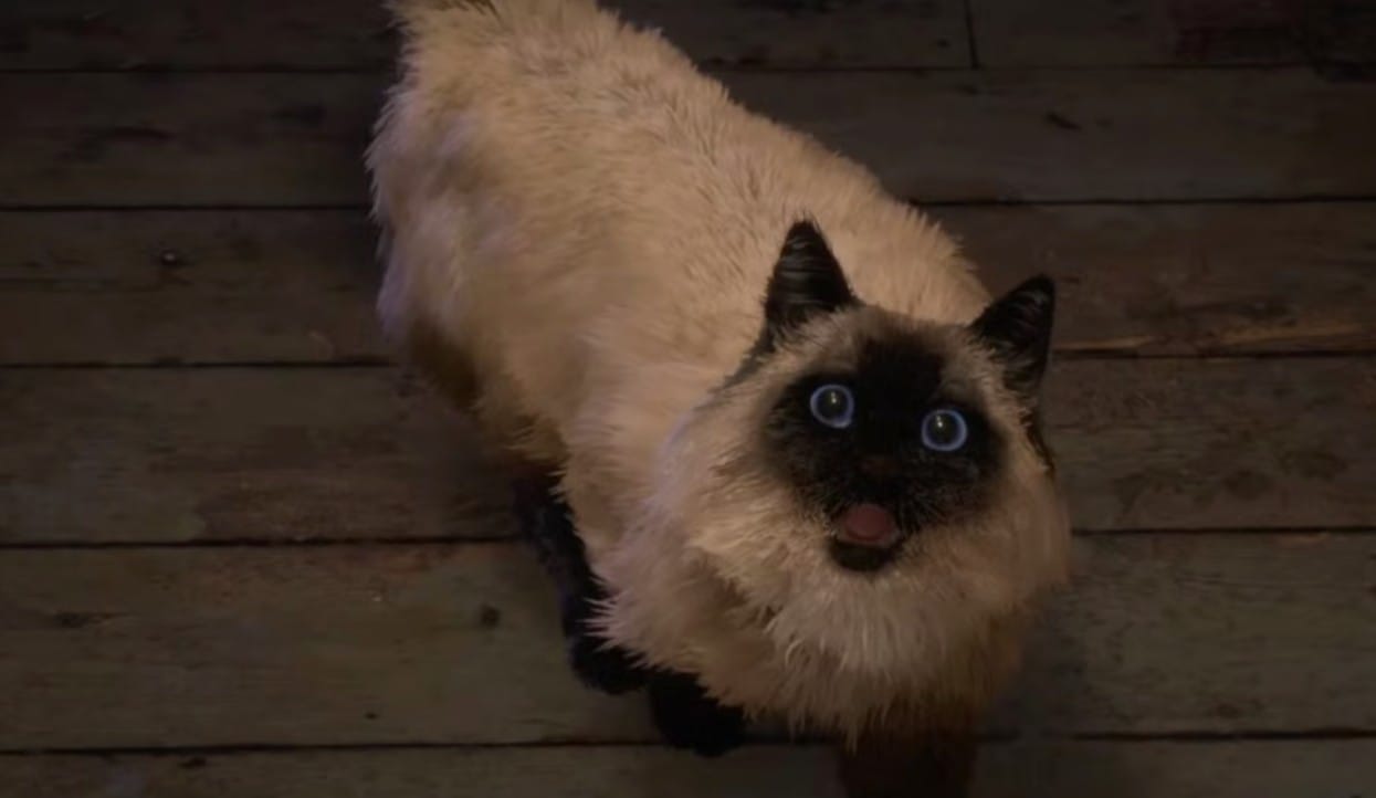 Гомер - пушистый друг Фрей в Forspoken