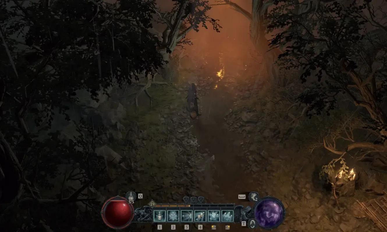 персонажи ходят в темном лесу в Diablo 4