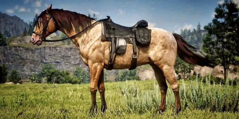 красивый конь в Red Dead Redemption 2