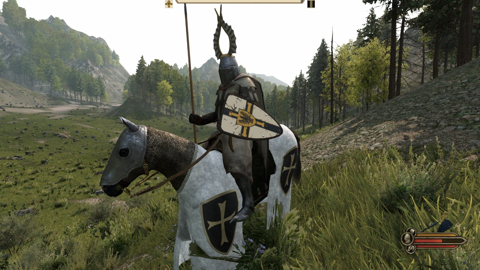 рыцарь в Mount & Blade II: Bannerlord