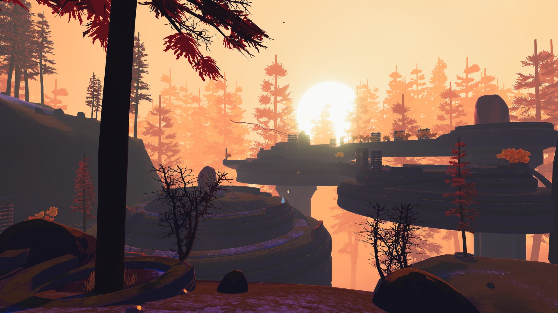 красивый лес на восходе солнца в Risk of Rain 2
