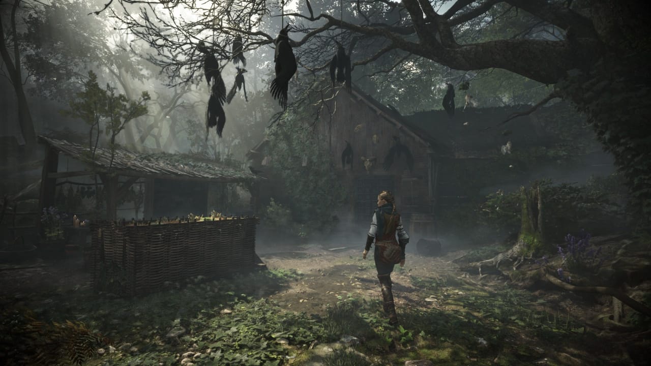 Амиция ищет своего брата A Plague Tale: Requiem