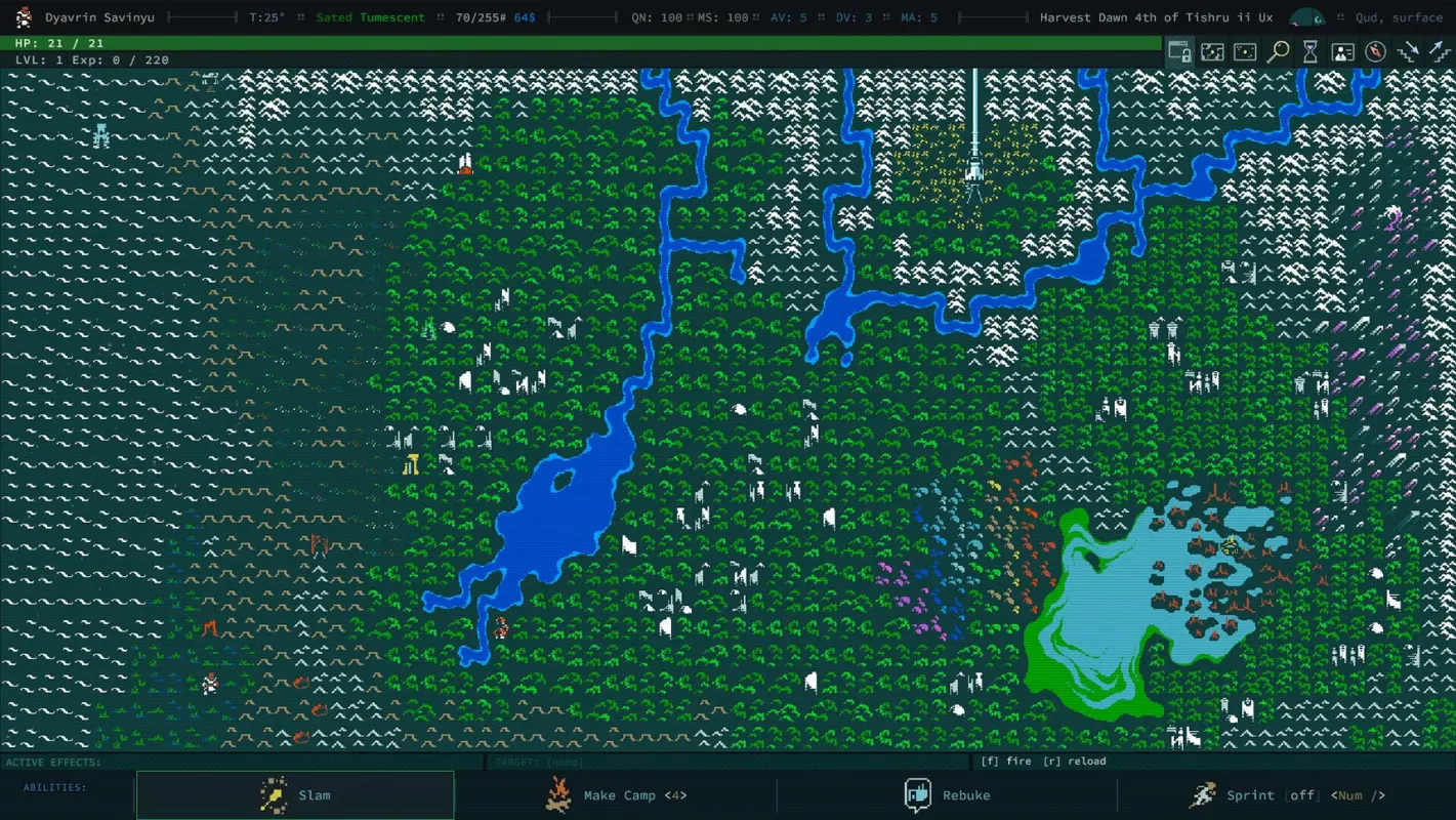 интересная карта в Caves of Qud