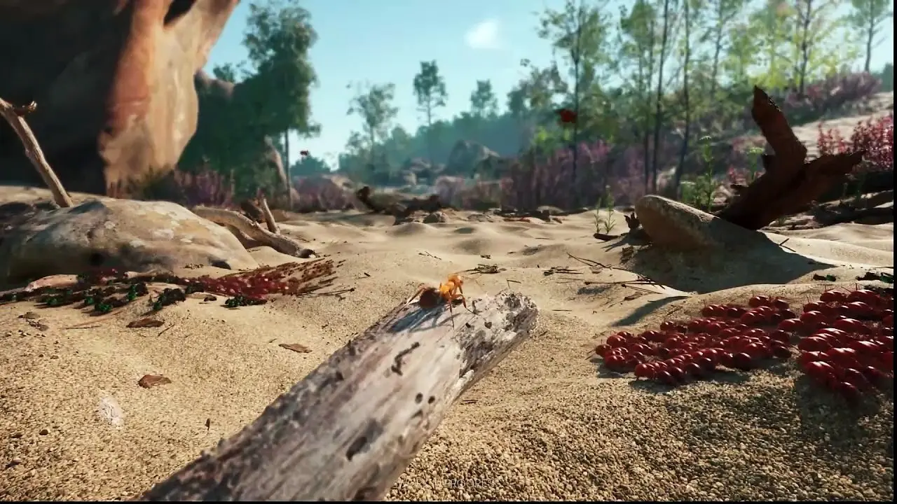муравей на пляже в Empire of the Ants