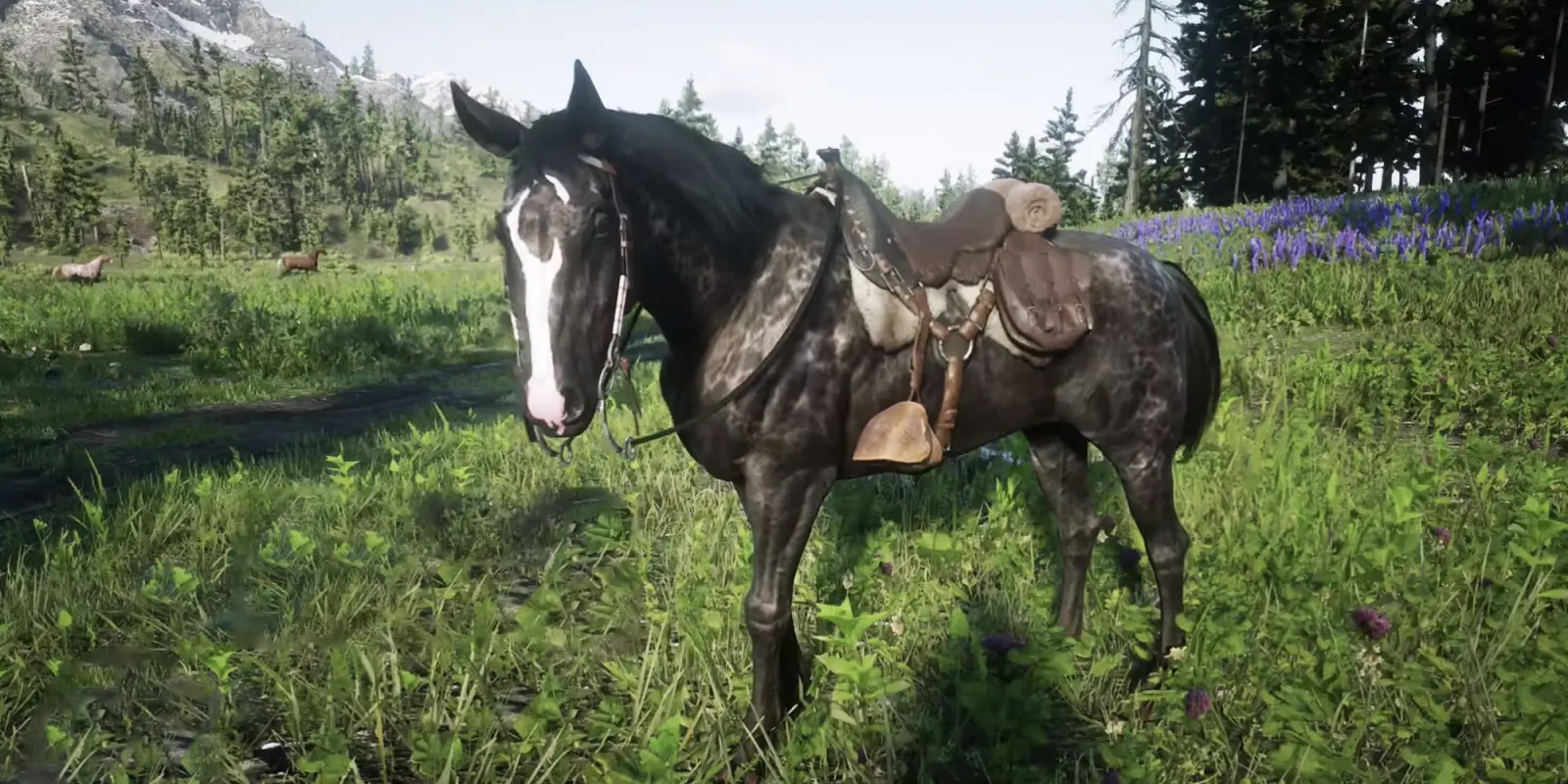 лошади на выгуле в Red Dead Redemption 2
